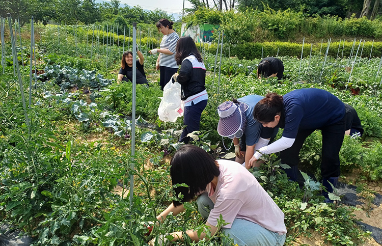 전주시 '장동 케어팜'