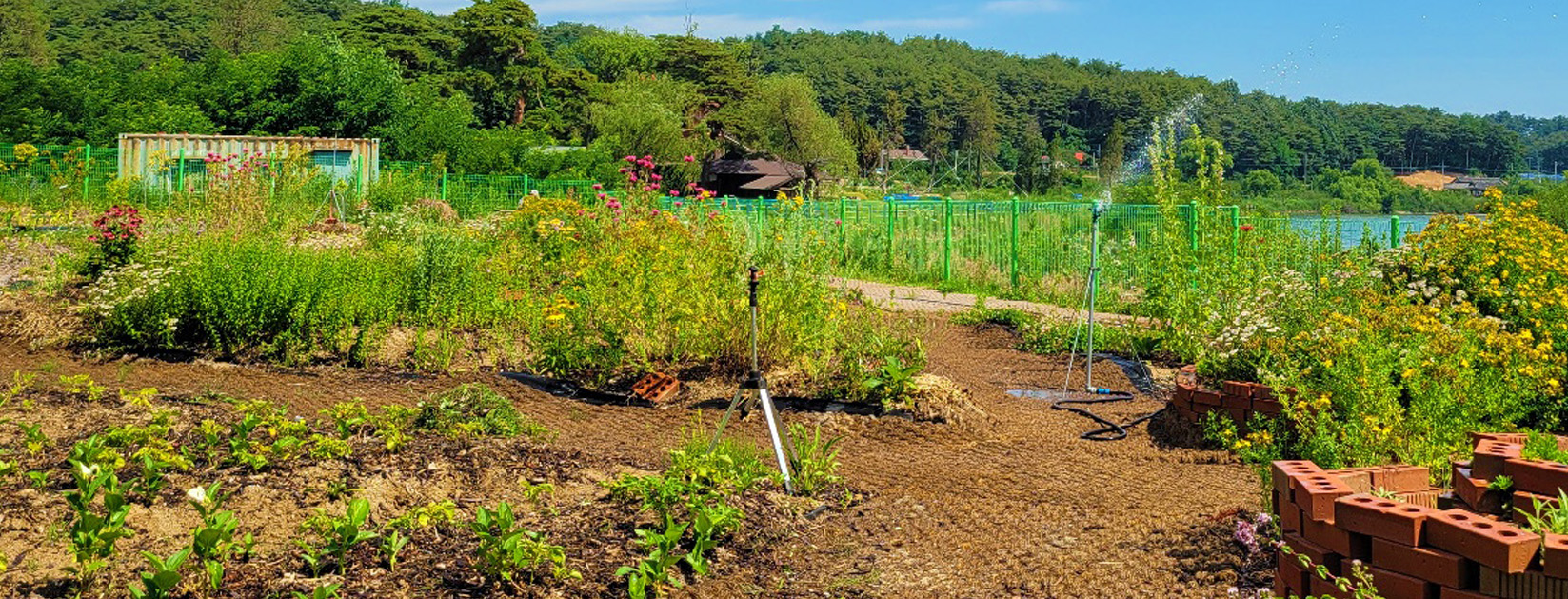 배경 이미지