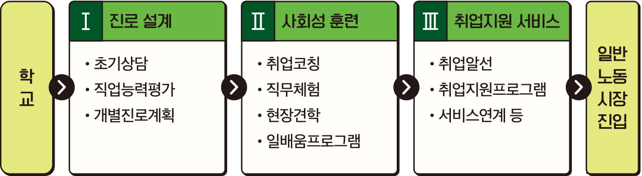 학교 1.진로 설계 1-1.초기상담 1-2.직업능력평가 1-3.개별진로계획 2.사회성 훈련 2-1. 취업코칭 2-2.직무체험 2-3.현장견학 2-4.일배움프로그램 3.취업지원 서비스 3-1.취업알선 3-2.취업지원프로그램 3-3.서비스연계 등 일반노동시작진입