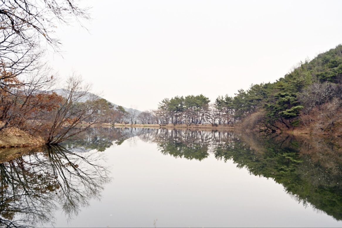 밀양의 위양지 연못 전경
