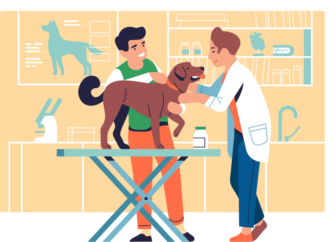 강아지를 만지며 치료하는 모습