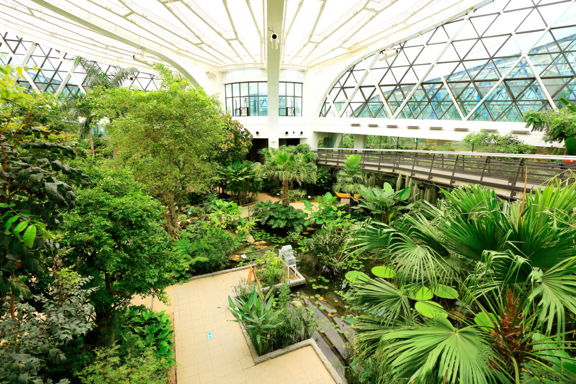 초록색으로 싱그러움이 느껴지는 서울식물원 내부 모습