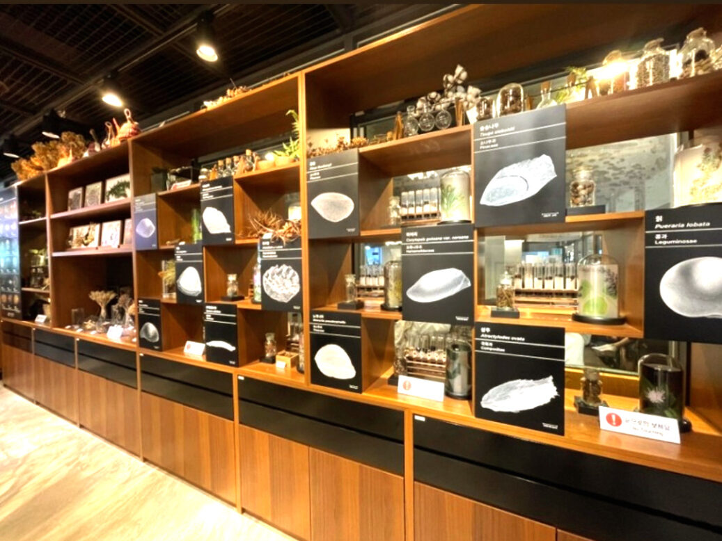 다양한 종류의 씨앗을 볼 수 있는 씨앗도서관 사진