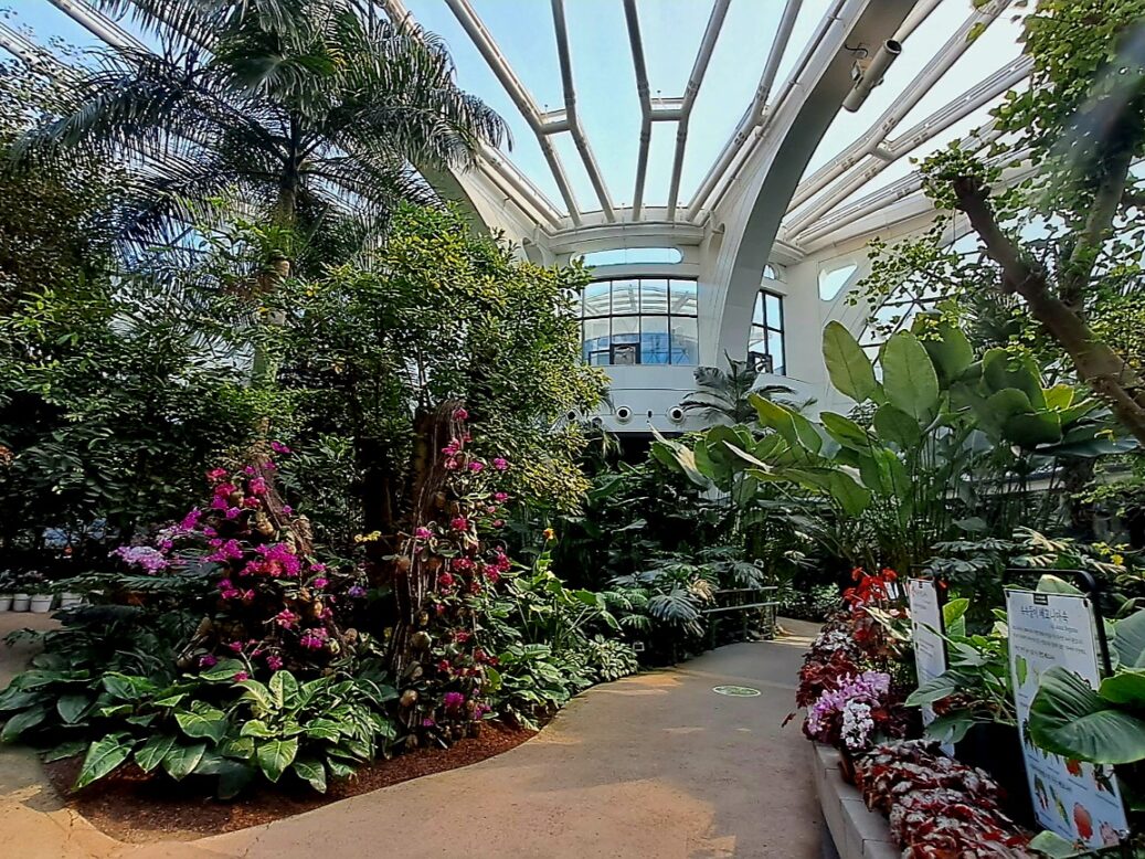 사계절 내내 푸르른 식물을 볼 수 있는 온실열대관 사진