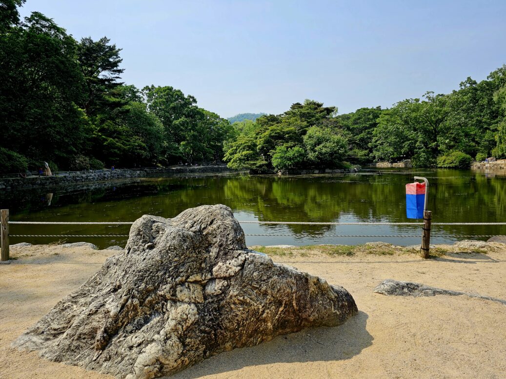 춘당지가 숲으로 들러싸여 있는 모습의 사진 