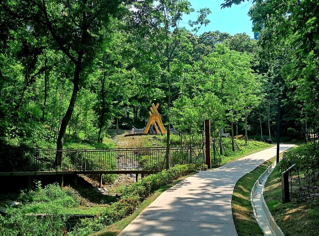 두충나무숲에서 어린이체험교실을 가는 길로 경사가 조금 있지만 매끄러운 길 사진
