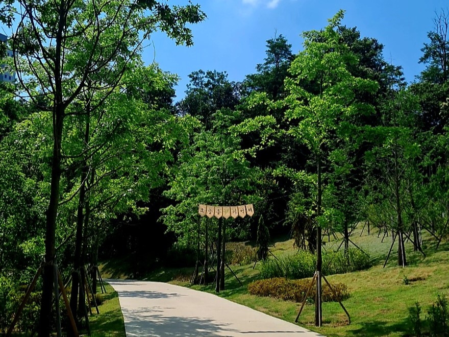 시원함이 느껴지는 수목원 산책로 사진