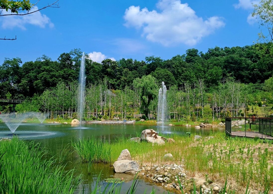 푸르른 나무숲으로 들러싸여 있는 수연지 사진