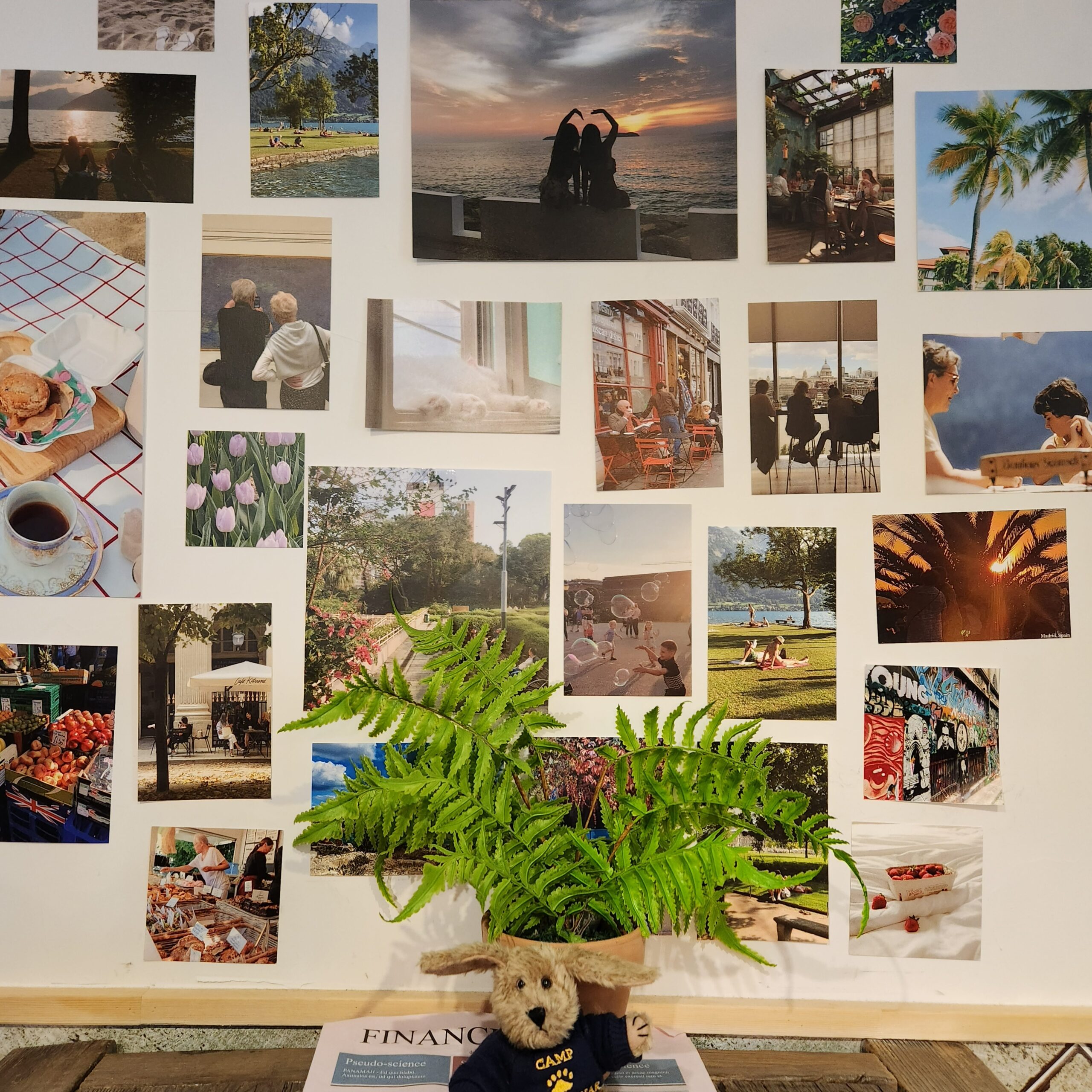 동해에 있는 독서를 할 수 있는 카페로 다양한 사진들로 꾸며져 감성적이다.