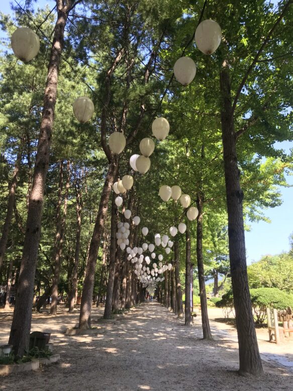 메타세콰이어길에 아기자기한 조명들이 매달려 있는 모습의 사진
